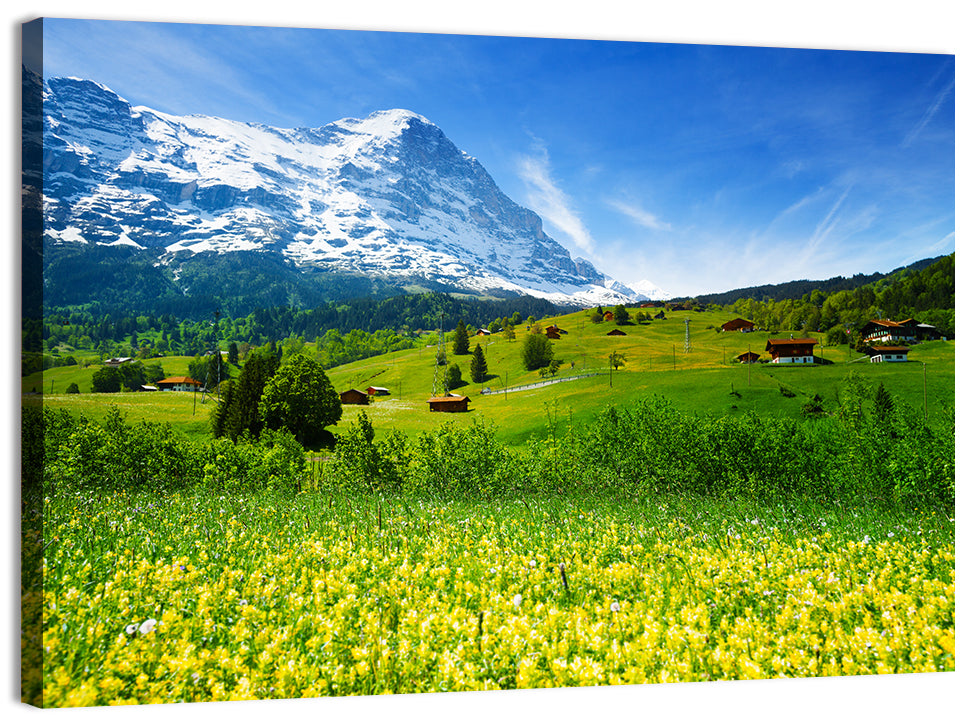 Alpine Wildflower Meadow Wall Art, canvas print, landscape