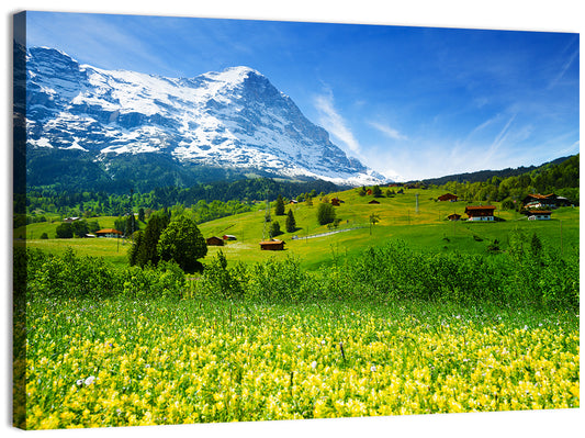 Alpine Wildflower Meadow Wall Art