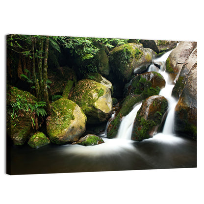Rainforest Waterfall with Moss Covered Boulders Wall Art