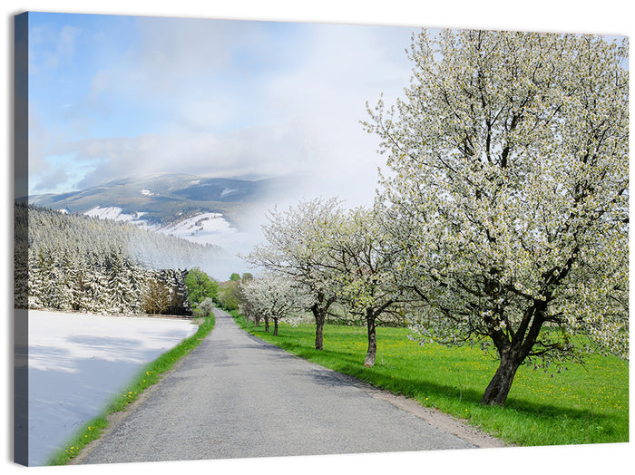 Season Change Road to Snowy Mountain Wall Art as a canvas print