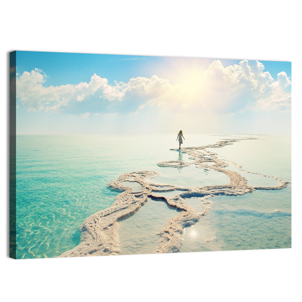 Dead Sea Salt Flats Wall Art