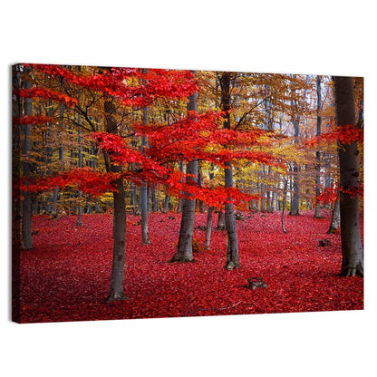 Crimson Autumn Forest Wall Art