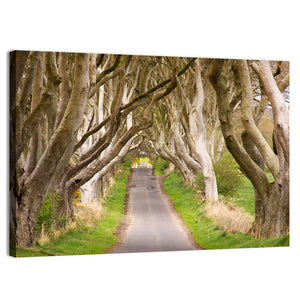 The Dark Hedges Wall Art