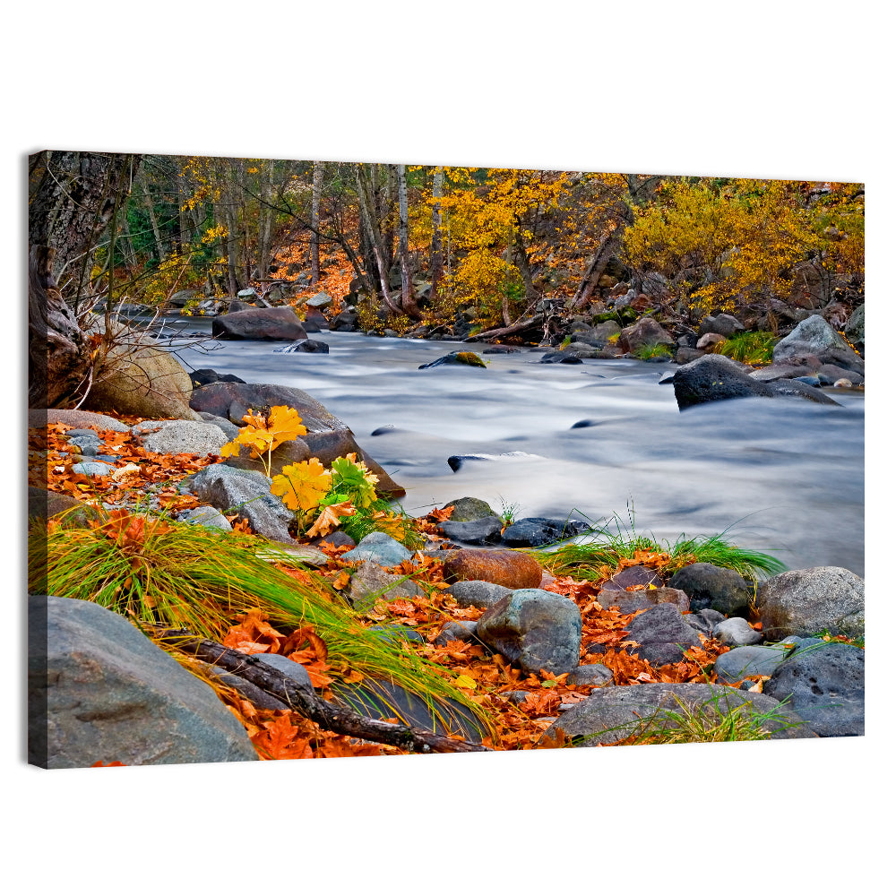 Golden Autumn Forest Creek Wall Art