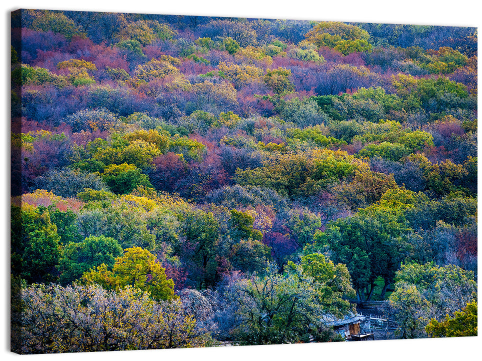 Autumn Canopy Forest with Cabin Roof Wall Art