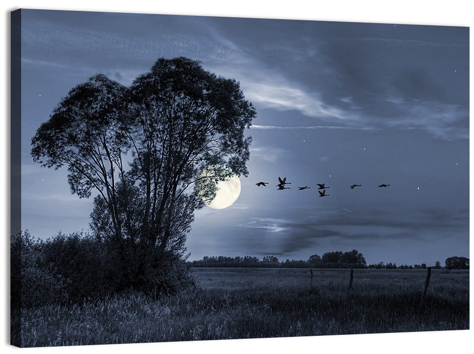 Moonlit Birds Over Quiet Field Wall Art
