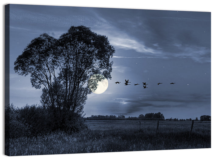 Moonlit Birds Over Quiet Field Wall Art as a canvas print