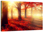 Sunlit Forest Path Wall Art