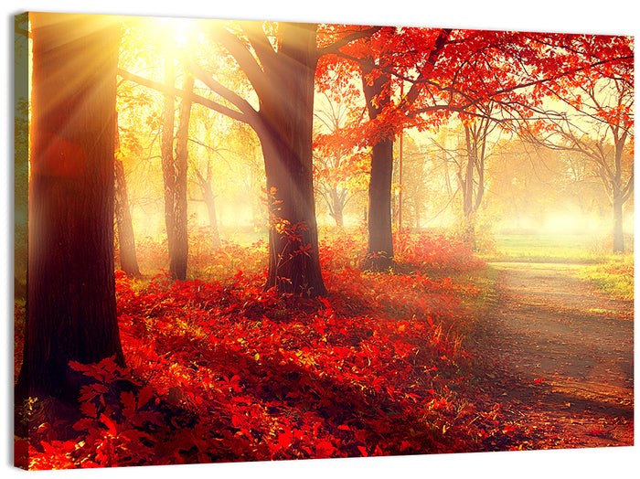 Sunlit Forest Path Wall Art as a canvas print