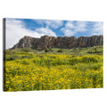 Mount Arbel Wildflower Meadow Wall Art