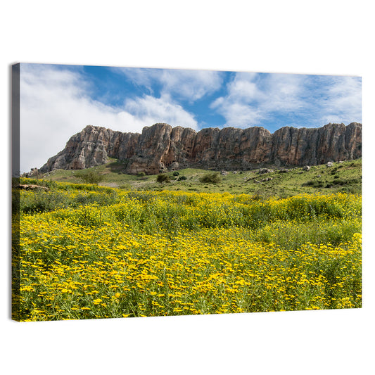 Mount Arbel Wildflower Meadow Wall Art