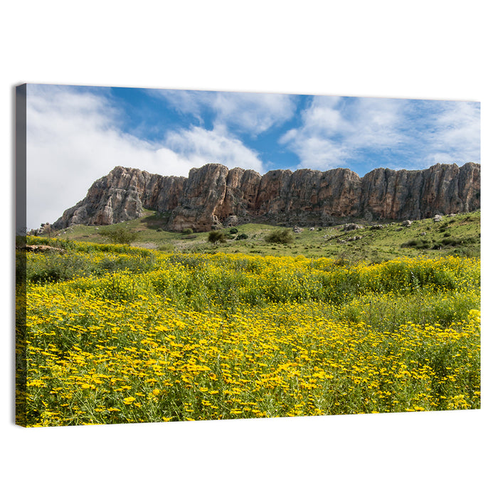 Mount Arbel Wildflower Meadow Wall Art as a canvas print