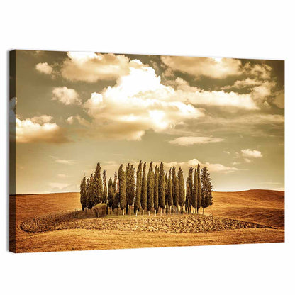 Tuscany Cypress Field Wall Art