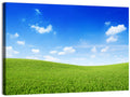 Rolling Green Meadow Under Blue Sky Wall Art