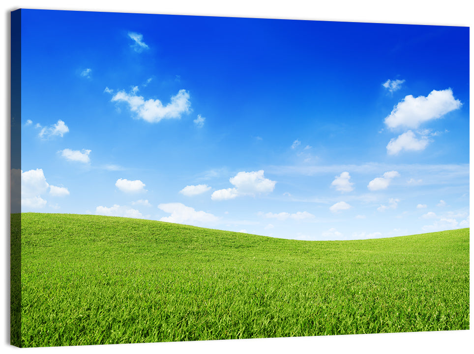 Rolling Green Meadow Under Blue Sky Wall Art