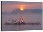 Misty Lake Sunrise with Fallen Tree Wall Art