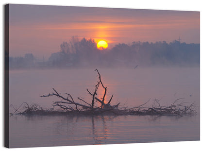 Misty Lake Sunrise with Fallen Tree Wall Art