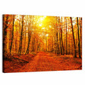 Golden Autumn Forest Path Wall Art