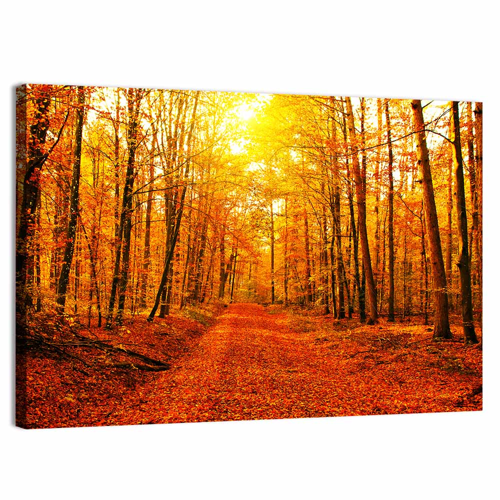 Golden Autumn Forest Path Wall Art