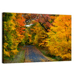 Autumn Road Through Wisconsin Park Wall Art
