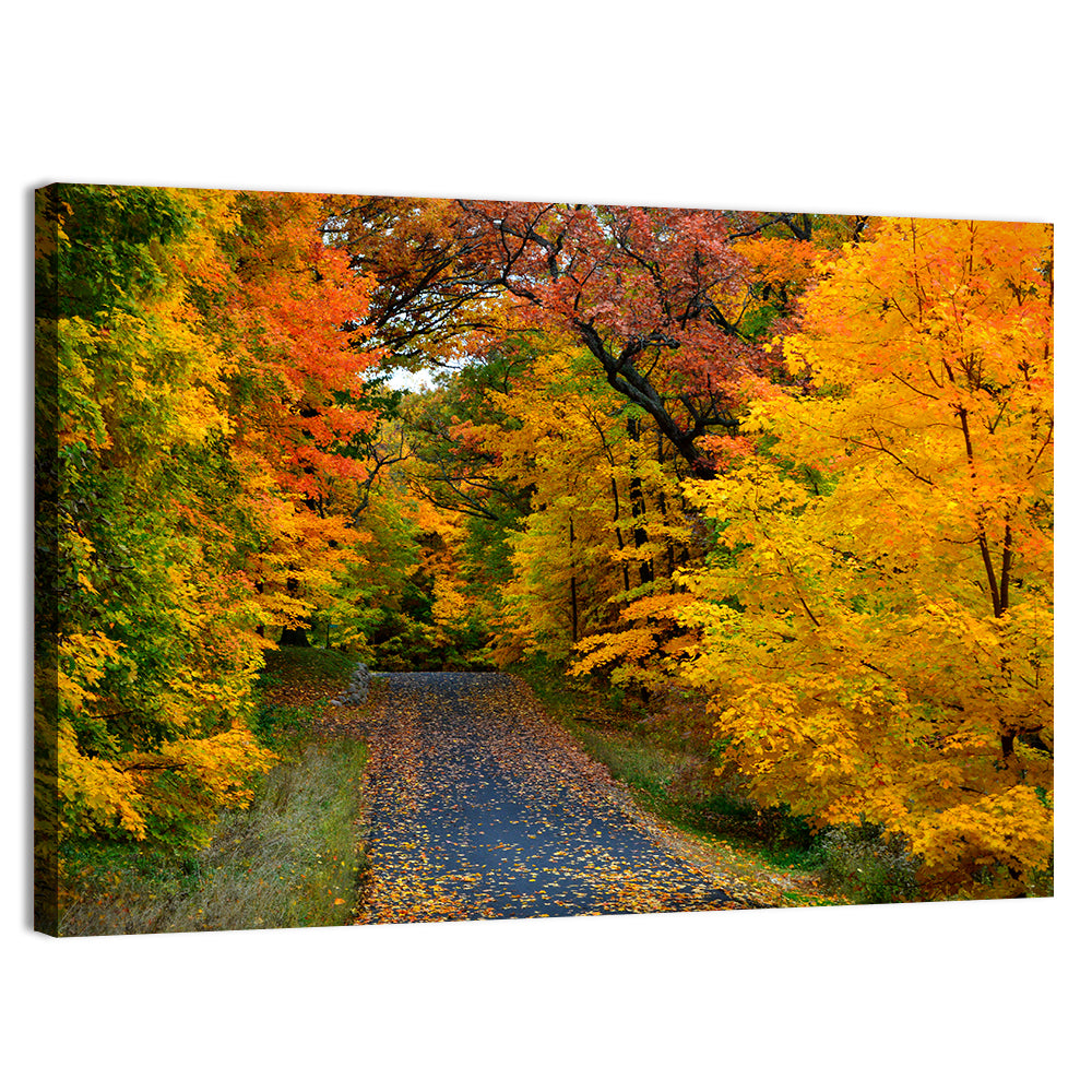 Autumn Road Through Wisconsin Park Wall Art