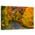 Wisconsin Autumn Park Wall Art