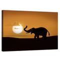Elephant at Sunset Wall Art