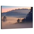 Misty Sunrise Forest Wall Art