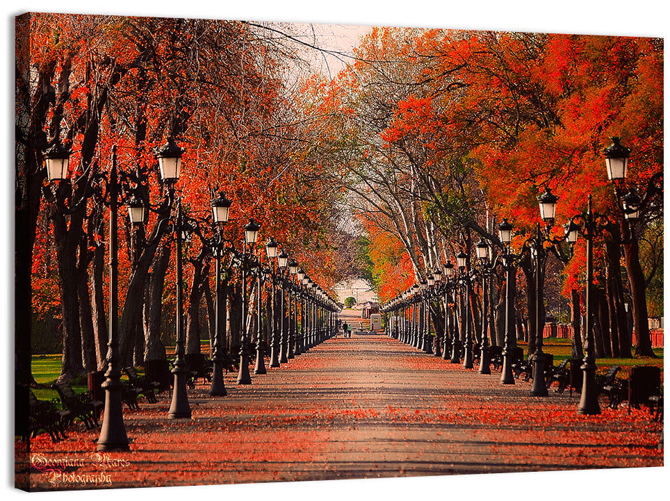 Autumn Park Path with Vintage Lampposts Wall Art