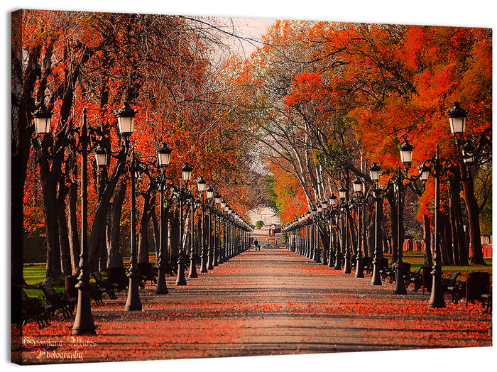 Autumn Park Path with Vintage Lampposts Wall Art as a canvas print