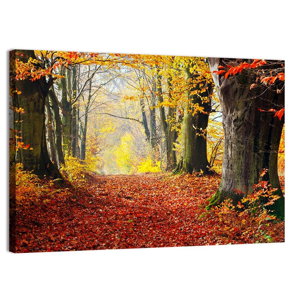 Misty Autumn Forest Path Wall Art