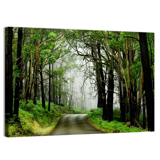 Foggy Forest Road Wall Art