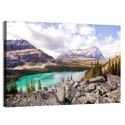 Lake Ohara Rocky Shore Wall Art