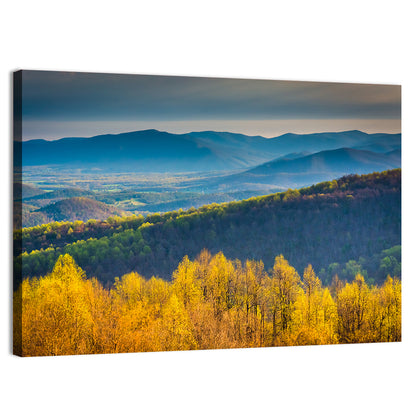 Shenandoah Golden Hour Ridge Wall Art