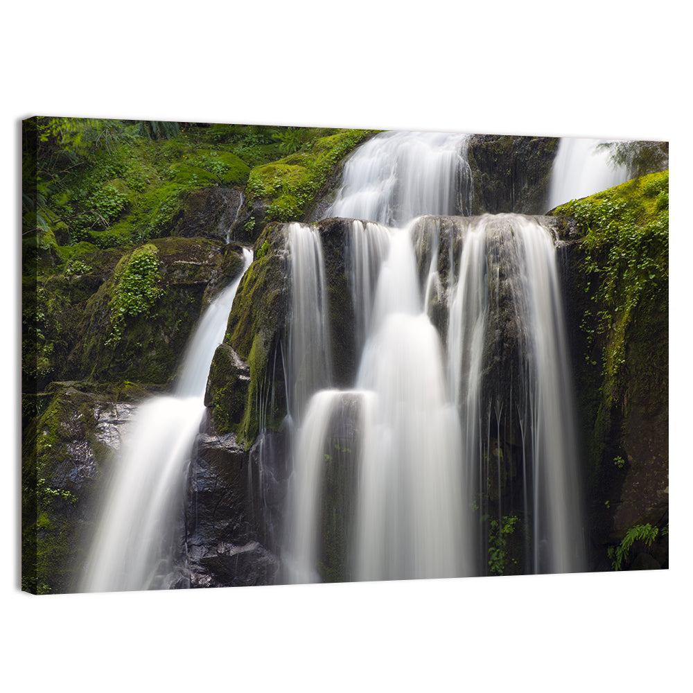 Mossy Kentucky Waterfall Wall Art