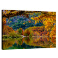 Frio River Autumn Reflection Wall Art