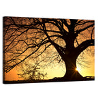 Willow Tree Sunset Wall Art