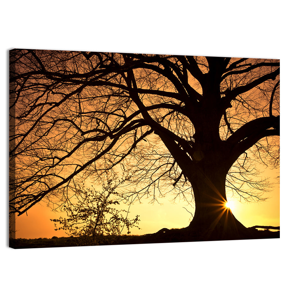 Willow Tree Sunset Wall Art