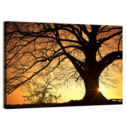 Willow Tree Sunset Wall Art