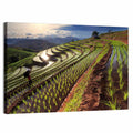 Chiang Mai Rice Terraces at Sunset Wall Art