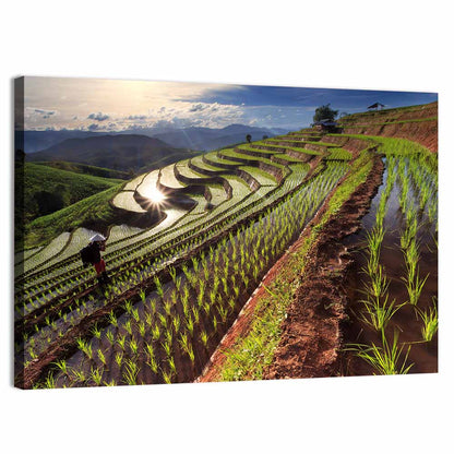Chiang Mai Rice Terraces at Sunset Wall Art