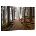 Misty Appalachian Trail Path Wall Art