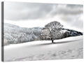 Solitary Snowy Tree Landscape Wall Art