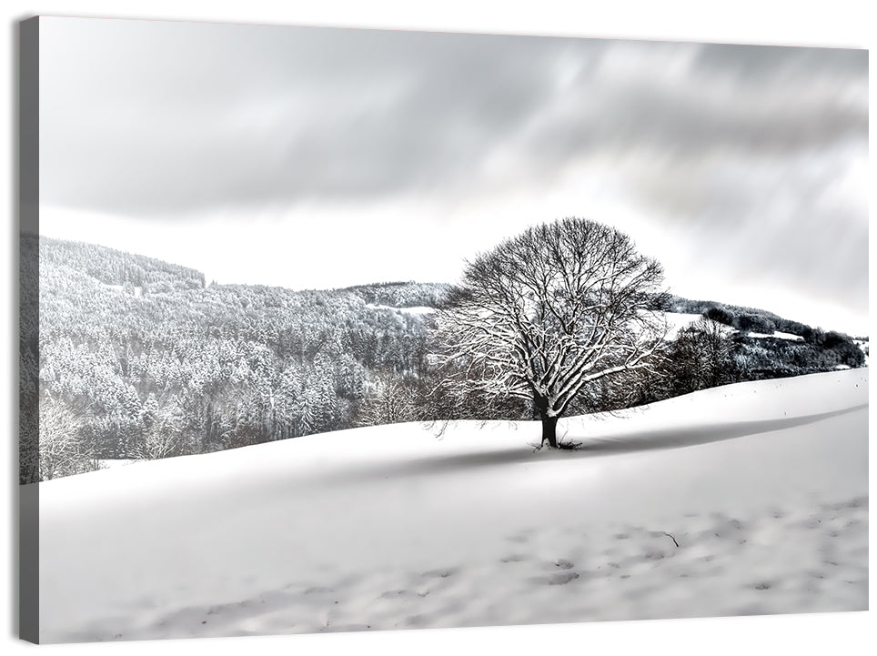 Solitary Snowy Tree Landscape Wall Art