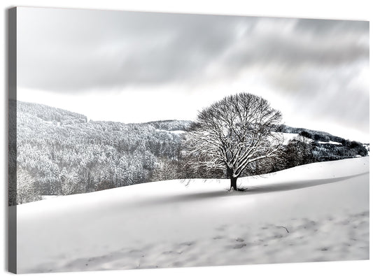 Solitary Snowy Tree Landscape Wall Art