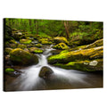 Mossy Forest Stream Wall Art