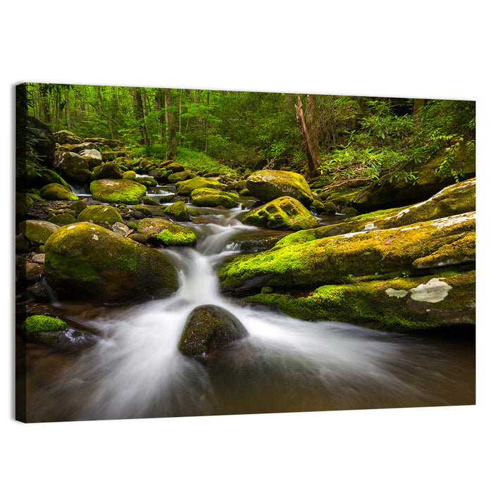 Mossy Forest Stream Wall Art as a canvas print