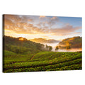 Strawberry Fields Sunrise Wall Art