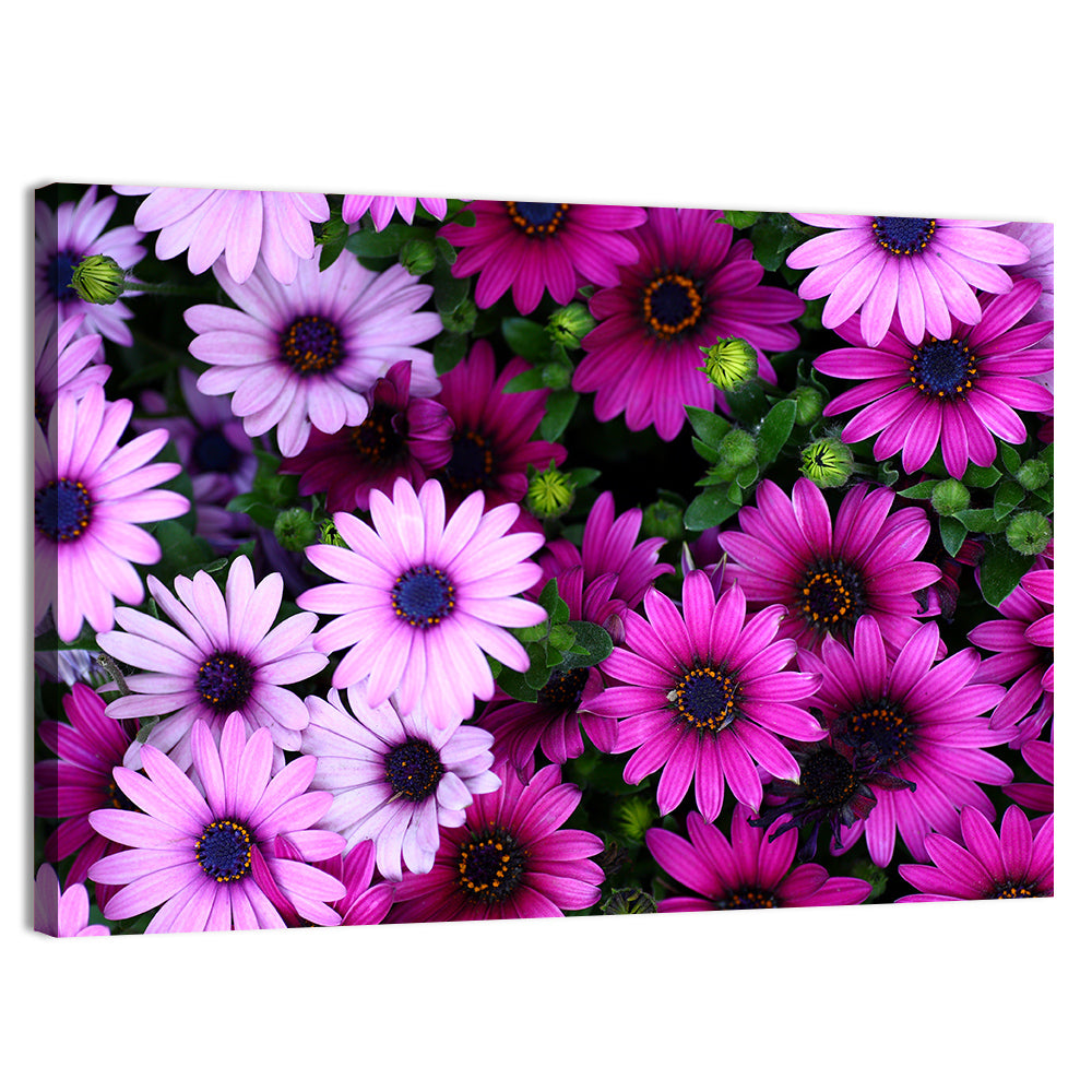 Pink and Purple Daisies Wall Art, canvas print, landscape