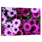 Pink and Purple Daisies Wall Art